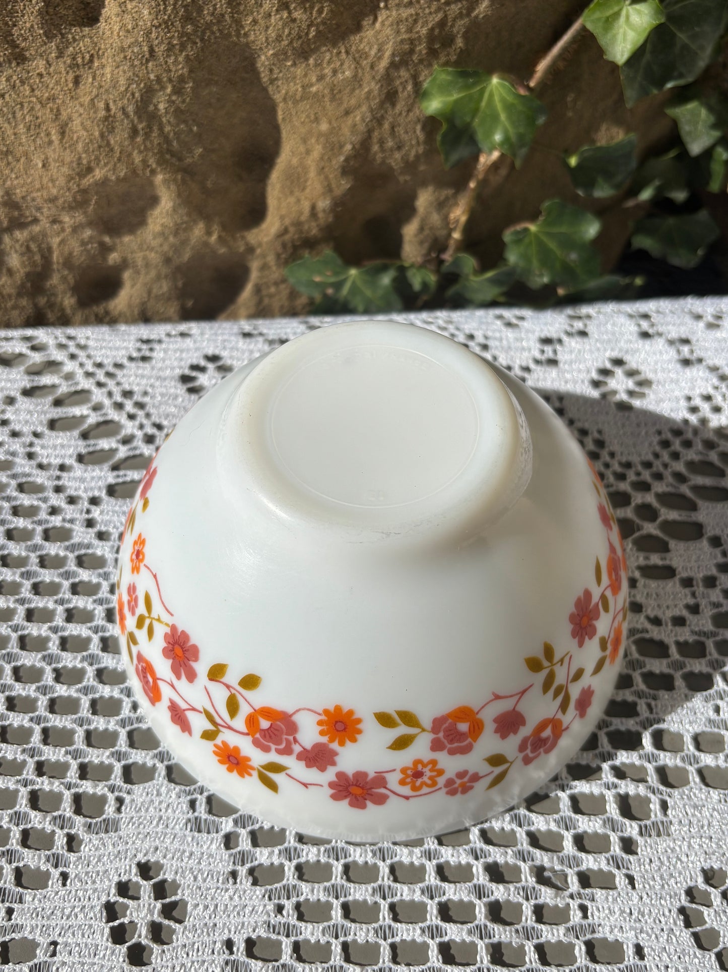 Bol Arcopal modèle Scania