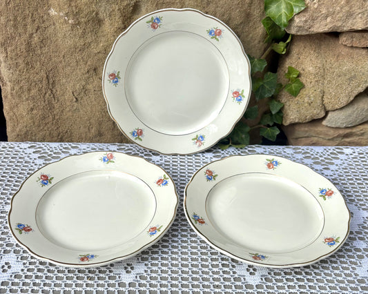 Assiettes Digoin Sarreguemines porcelaine opaque