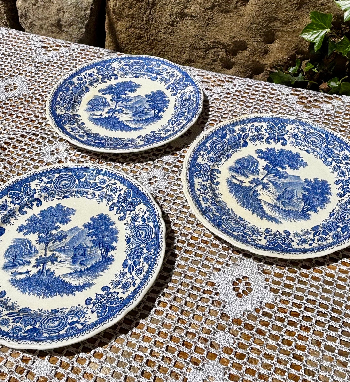 Assiettes Villeroy & Boch modèle Burgenland