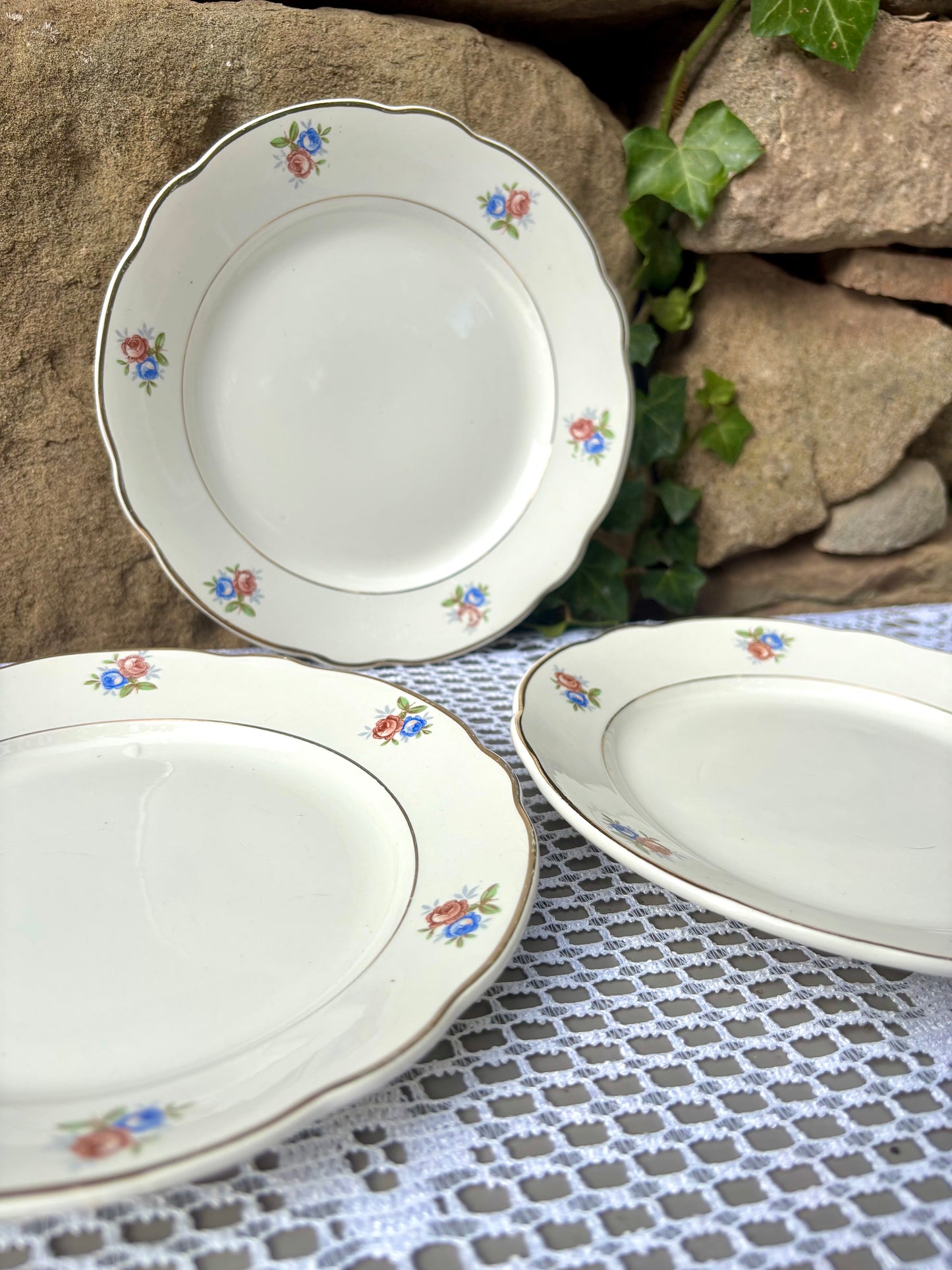 Assiettes Digoin Sarreguemines porcelaine opaque