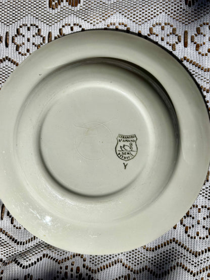 Assiettes Ceranord St Amand x5