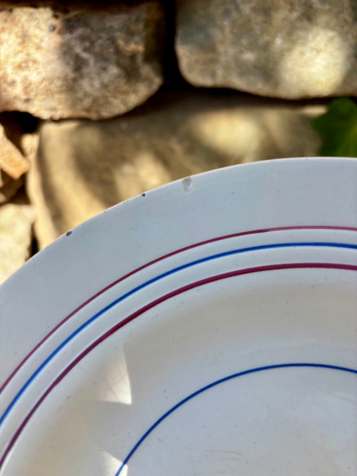 Assiettes Ceranord St Amand x5
