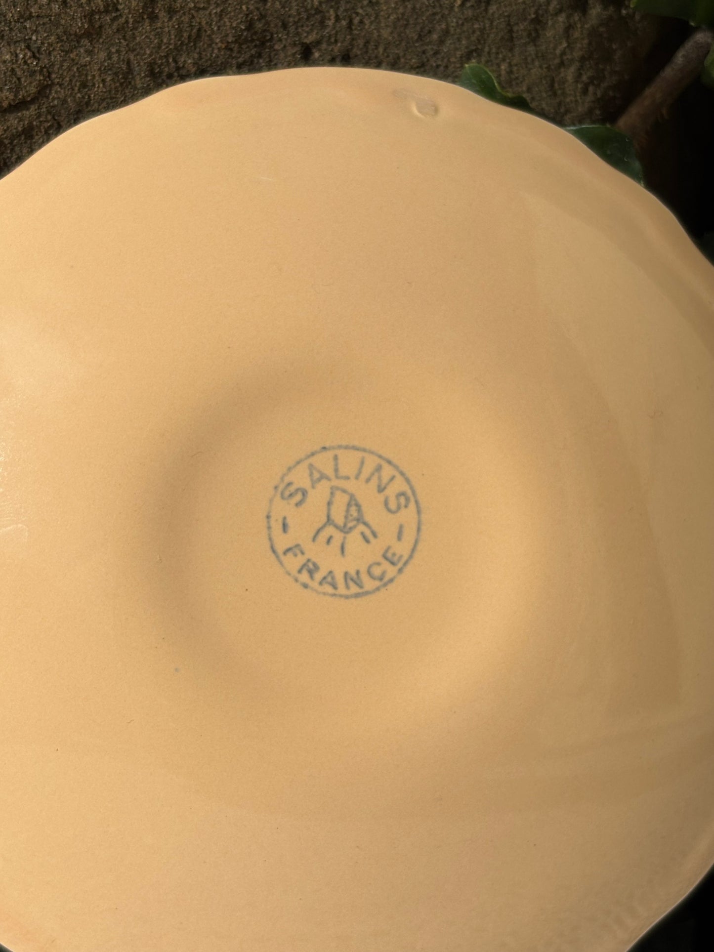 Assiette sous-tasse coquillage Salins