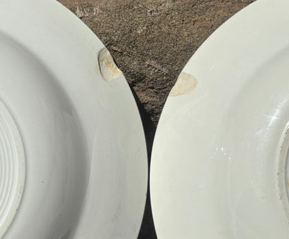 Assiettes Digoin Sarreguemines El Golea