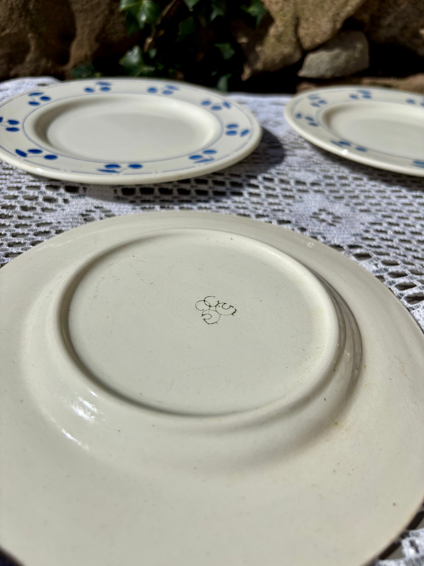 Assiettes cerises bleues