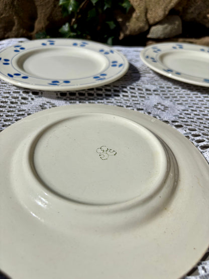 Assiettes cerises bleues