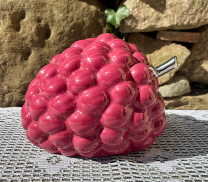 Framboises décoratives