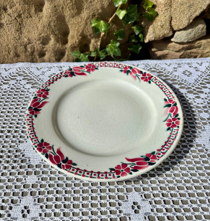 Assiette Ceranord St Amand