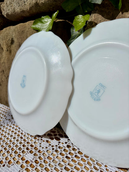 Petites assiettes Arcopal coquelicots x2