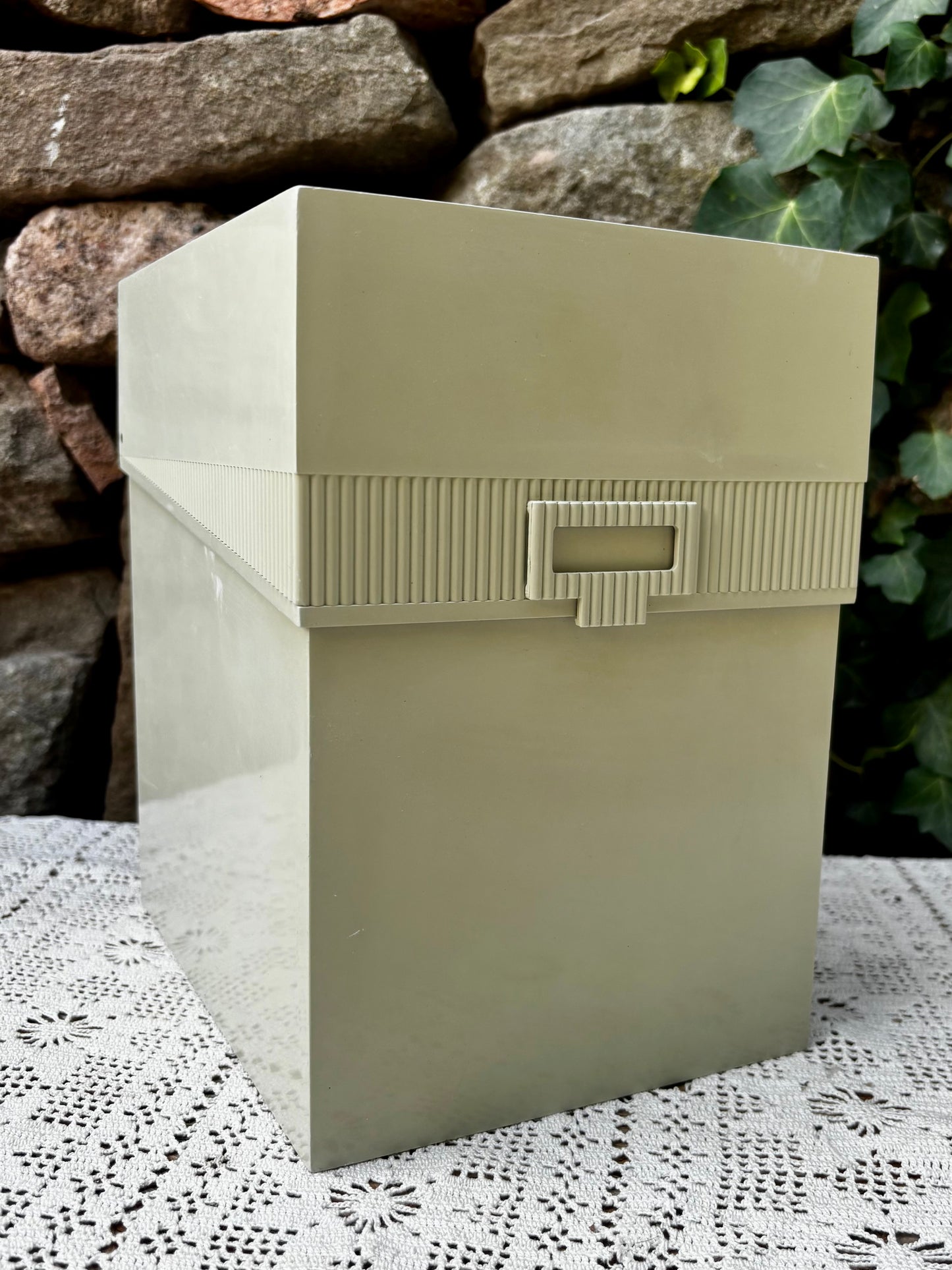 Boîte de rangement vintage Lynx