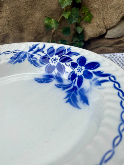 Plat St Amand L’amandinoise