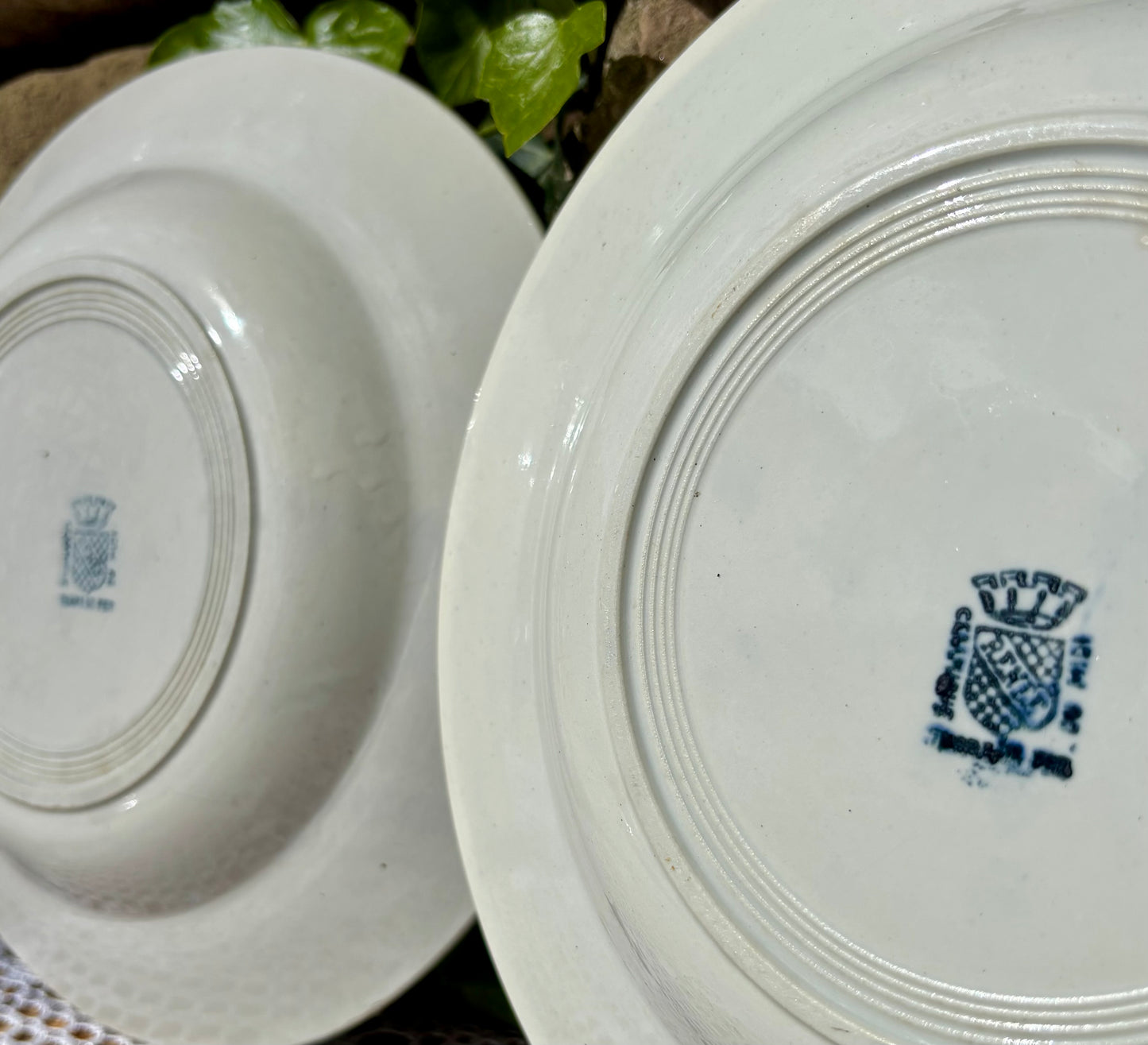 Assiettes Terre de Fer Renée