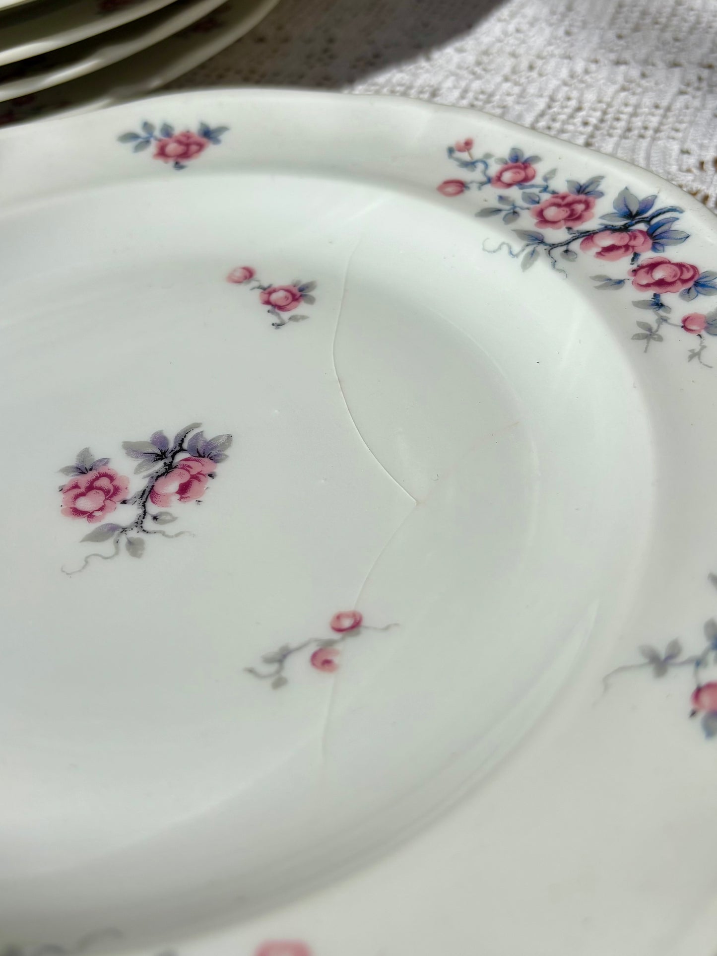 Service Ancienne Fabrique Royale de Limoges 19 pièces