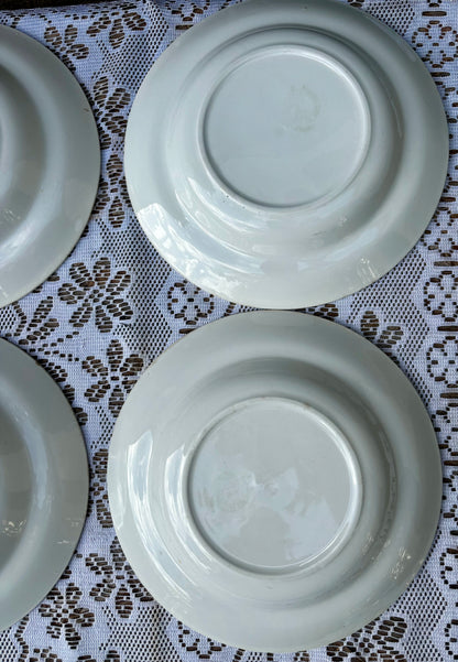 Assiettes creuses Moulin des Loups pommes