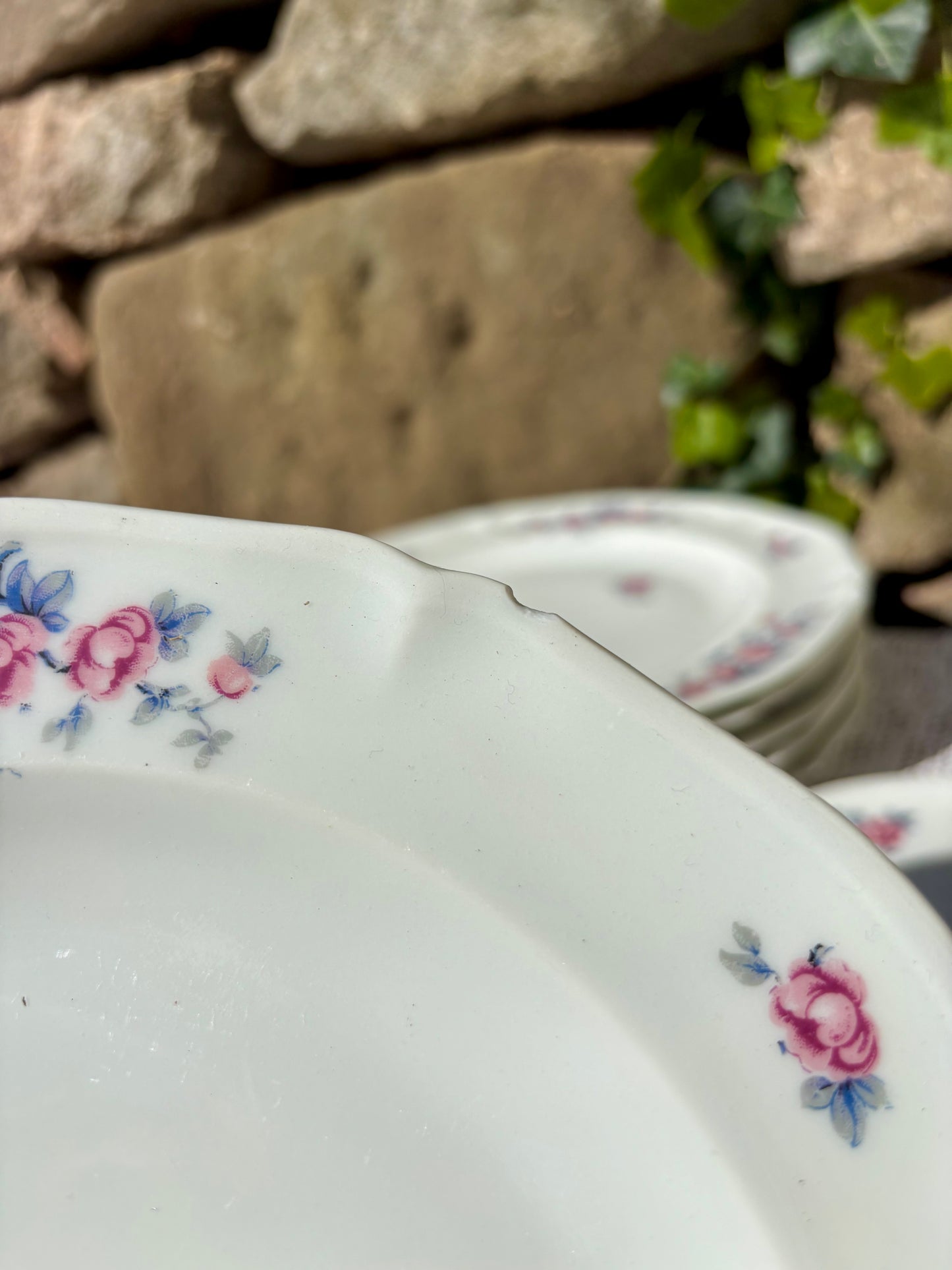 Service Ancienne Fabrique Royale de Limoges 19 pièces