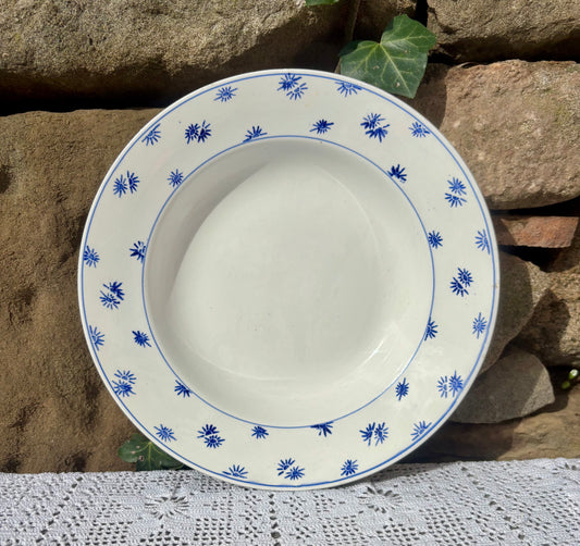 Assiette Digoin Sarreguemines vintage décor soleils bleus modèle Andrée 
