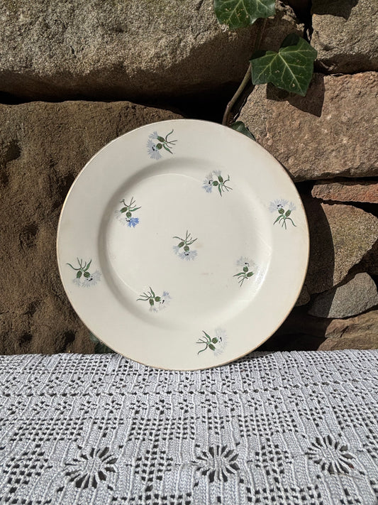 Assiette Digoin Sarreguemines porcelaine opaque vintage 1950 décor floral 