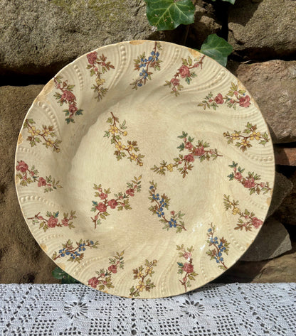 Assiette Sarreguemines Louis XV vaisselle ancienne 