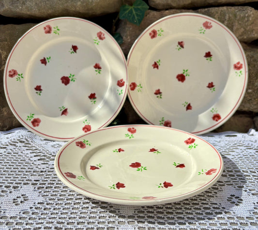 Assiettes vintage Badonviller semi porcelaine 