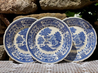 Assiettes Villeroy Boch Burgenland vintage 