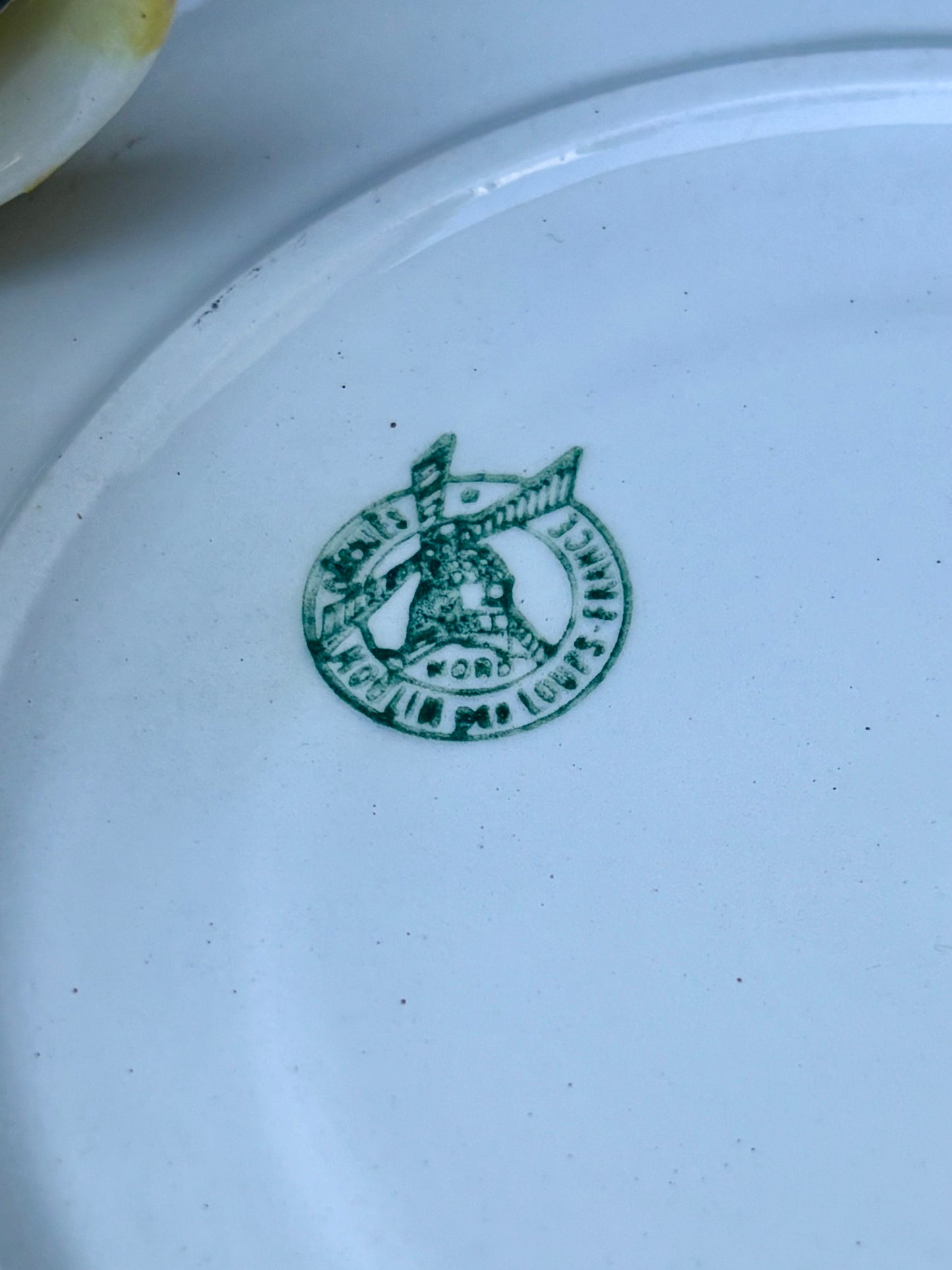 Tasse et sous-tasse Orchies Moulin des Loups jaune