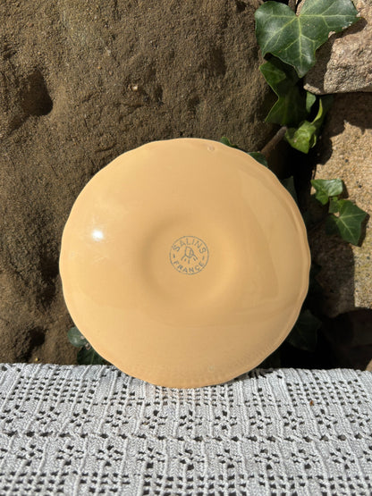 Assiette sous-tasse coquillage Salins
