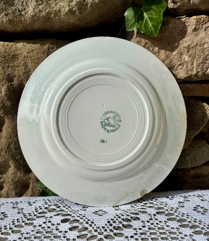 Assiette Ceranord St Amand