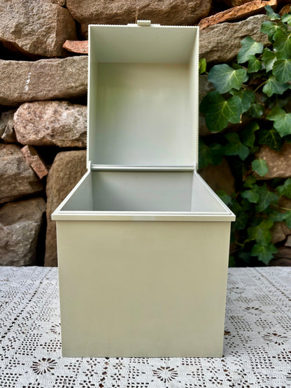 Boîte de rangement vintage Lynx