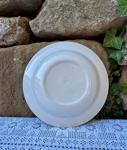 Assiette Brazil Oxford