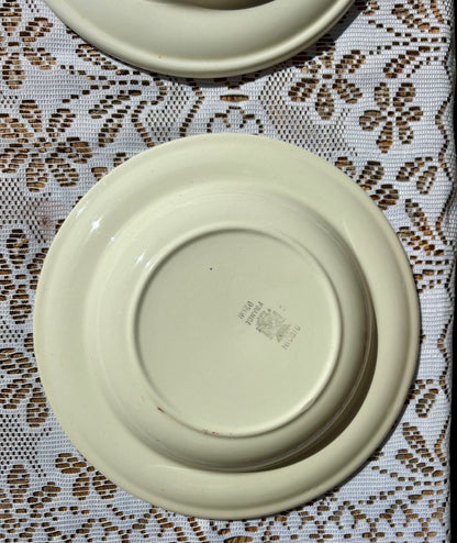 Assiettes creuses Digoin Sarreguemines x9