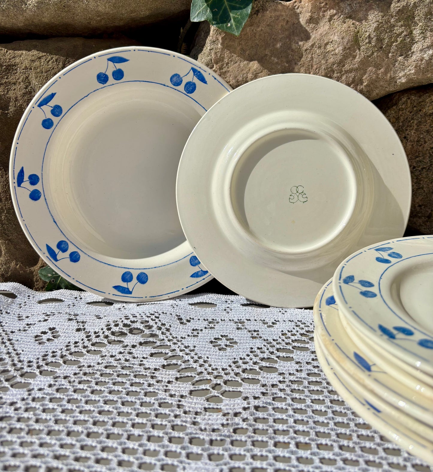 Assiettes cerises bleues