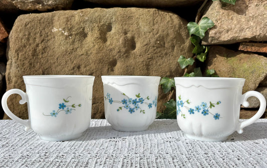 Arcopal Myosotis 1970 tasses 