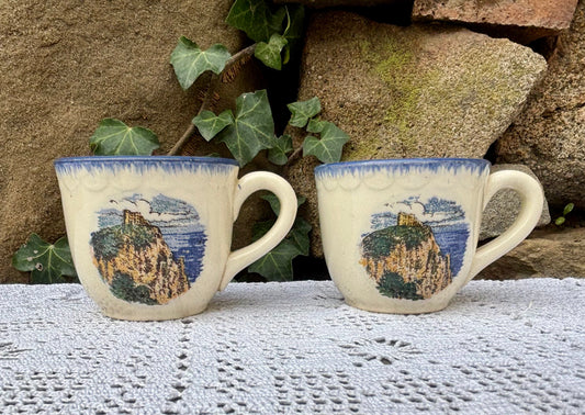 Tasses à café Sarreguemines décor falaise 