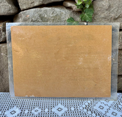 affiche cock of the walk 1990 vue de dos